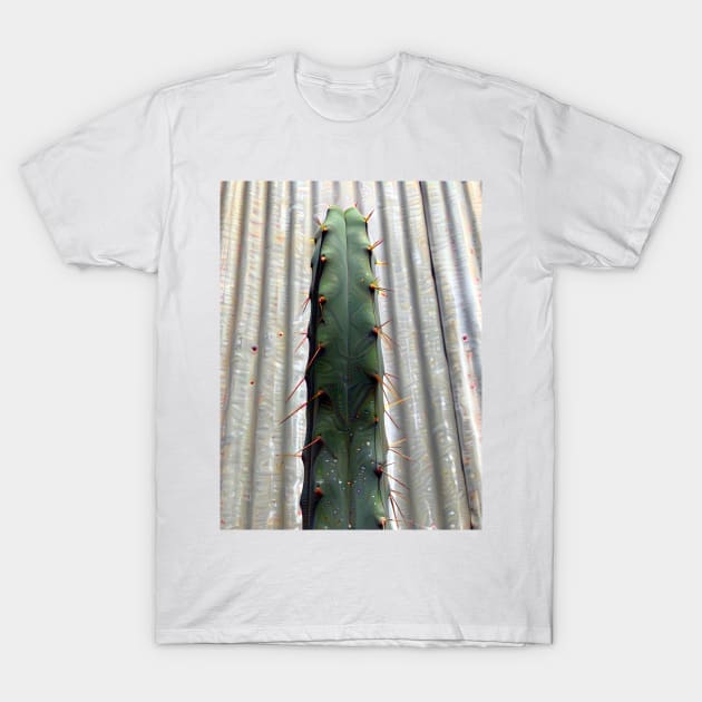 Trichocereus Bridgesii 'Con' Front Only T-Shirt by amigoscactusandplants